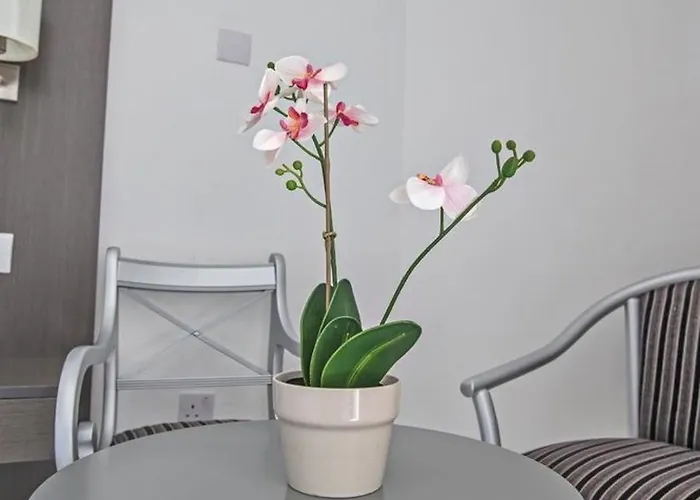 Napa Tsokkos Hotel 3*