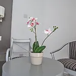Napa Tsokkos Hotel 3*