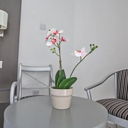 Napa Tsokkos Hotell 3*