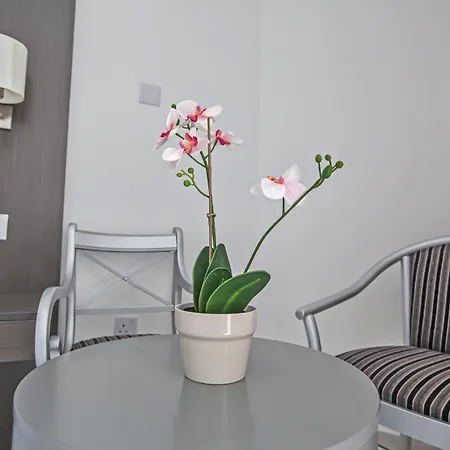 Napa Tsokkos Aya Napa