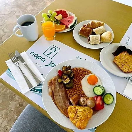 Napa Tsokkos Hotel