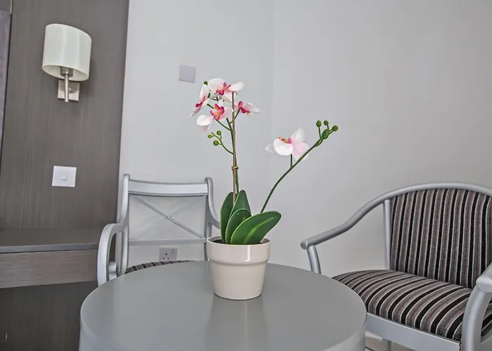 Napa Tsokkos アヤナパ